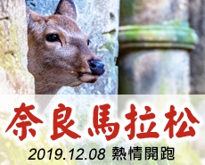 2019奈良馬拉松